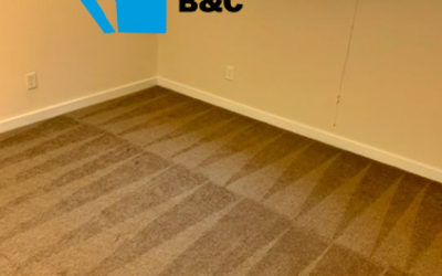 5 STEPS TO KNOWING HOW TO CLEAN A CARPET 🔥