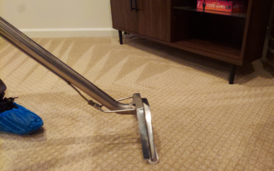 The Magic of Deep Carpet Cleaning