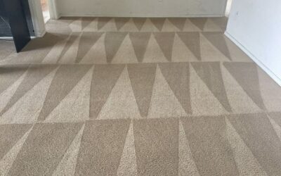 Professional Steam Carpet Cleaning Williamsburg, Va