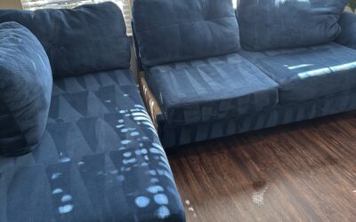 Upholstery Cleaning in Westfield, New Jersey
